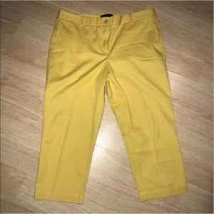 Ladies calf length pants