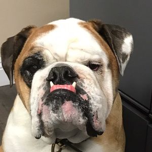 Meet your Posher, Natalie