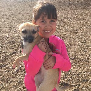 Meet your Posher, Elisa