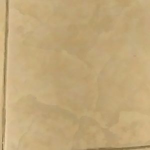 Meet your Posher, Minerva