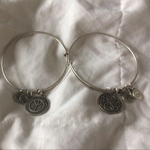 ALEX & ANI BANGLE SET