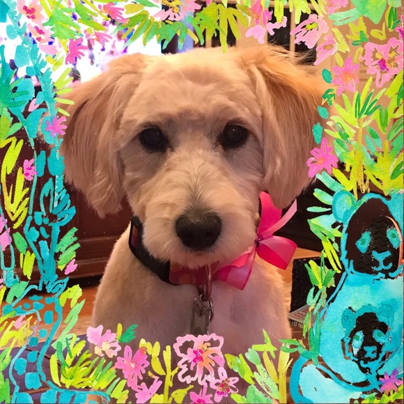 Meet your Posher, Charlotte - Picture 1 of 1