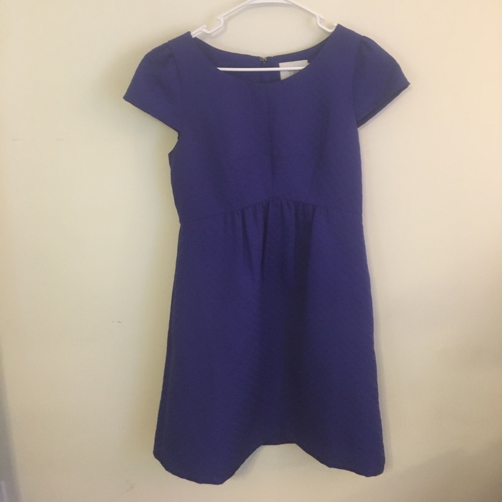 Anthropologie blue dress size 10
