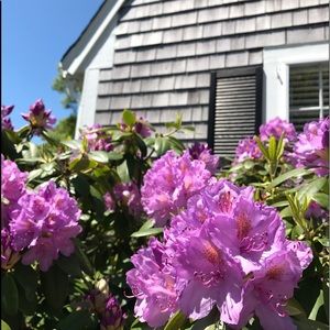 Meet your Posher, Ali