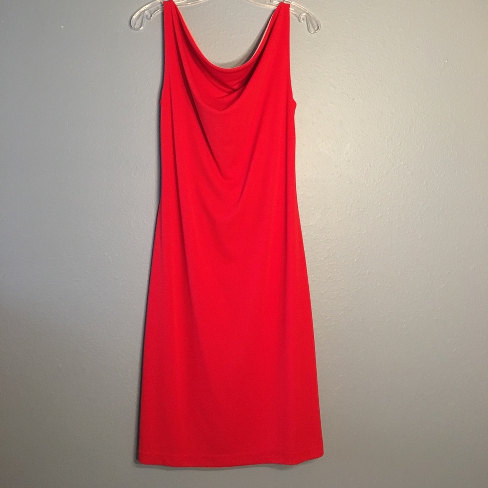 REVERSIBLE DRESS!  Red or pink Express Dress