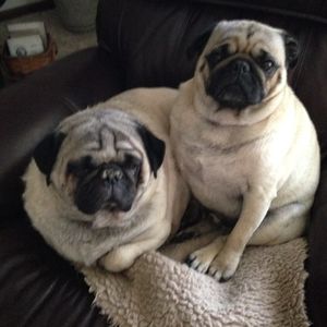 Meet your Posher, Rita