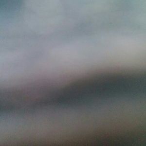 Meet your Posher, Jake