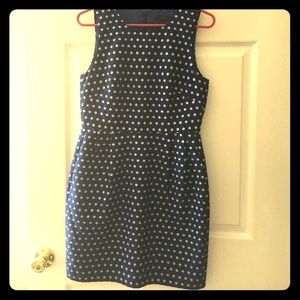 Flattering Blue & Silver Polkadot JCrew Dress