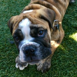 Meet your Posher, Jordan