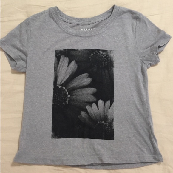 sunflower crop - Picture 1 of 1