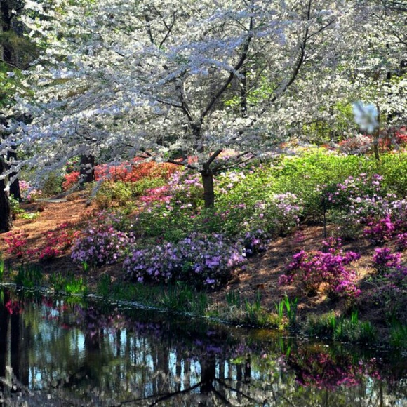 Meet your Posher, Renda - Picture 1 of 1