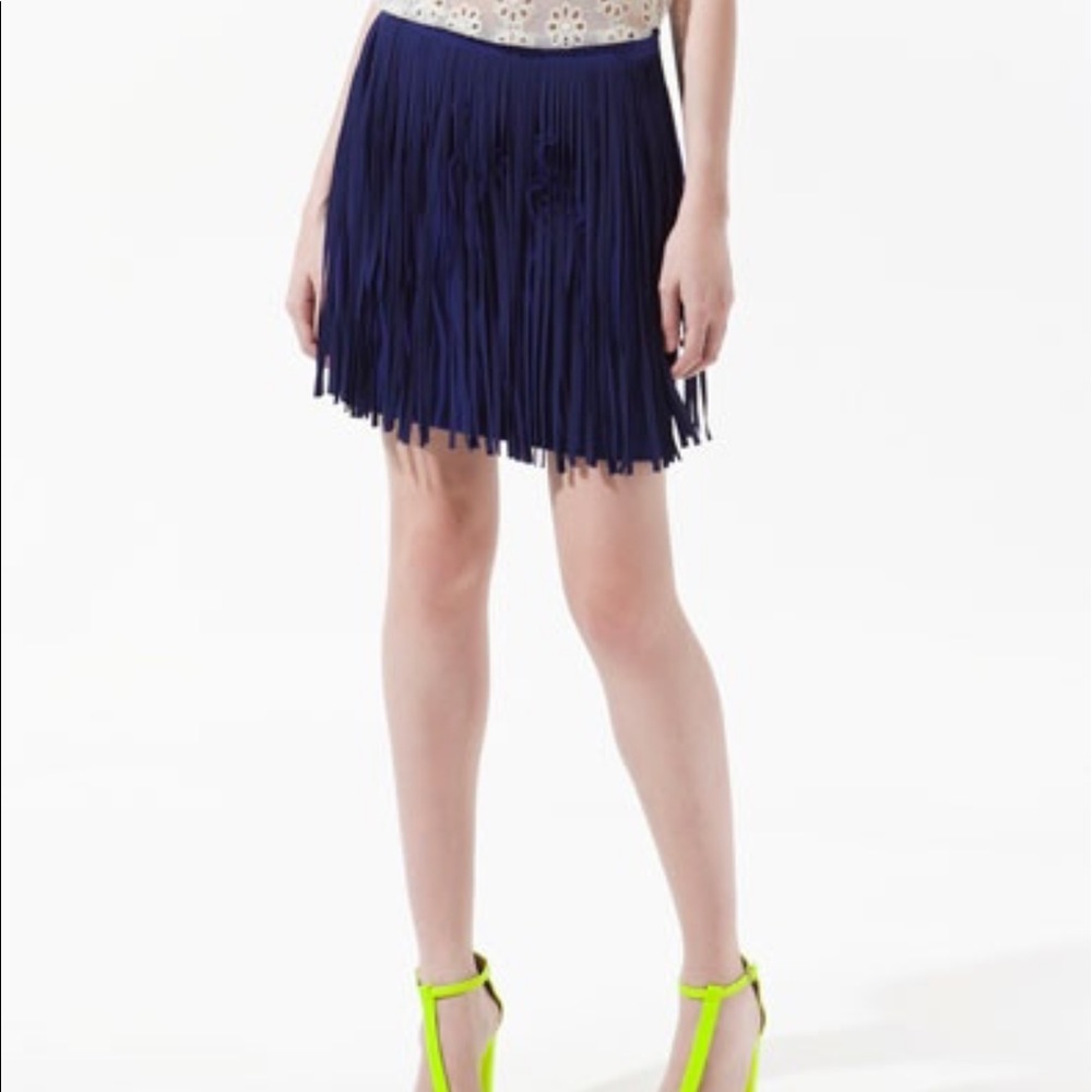 Zara fringe skirt