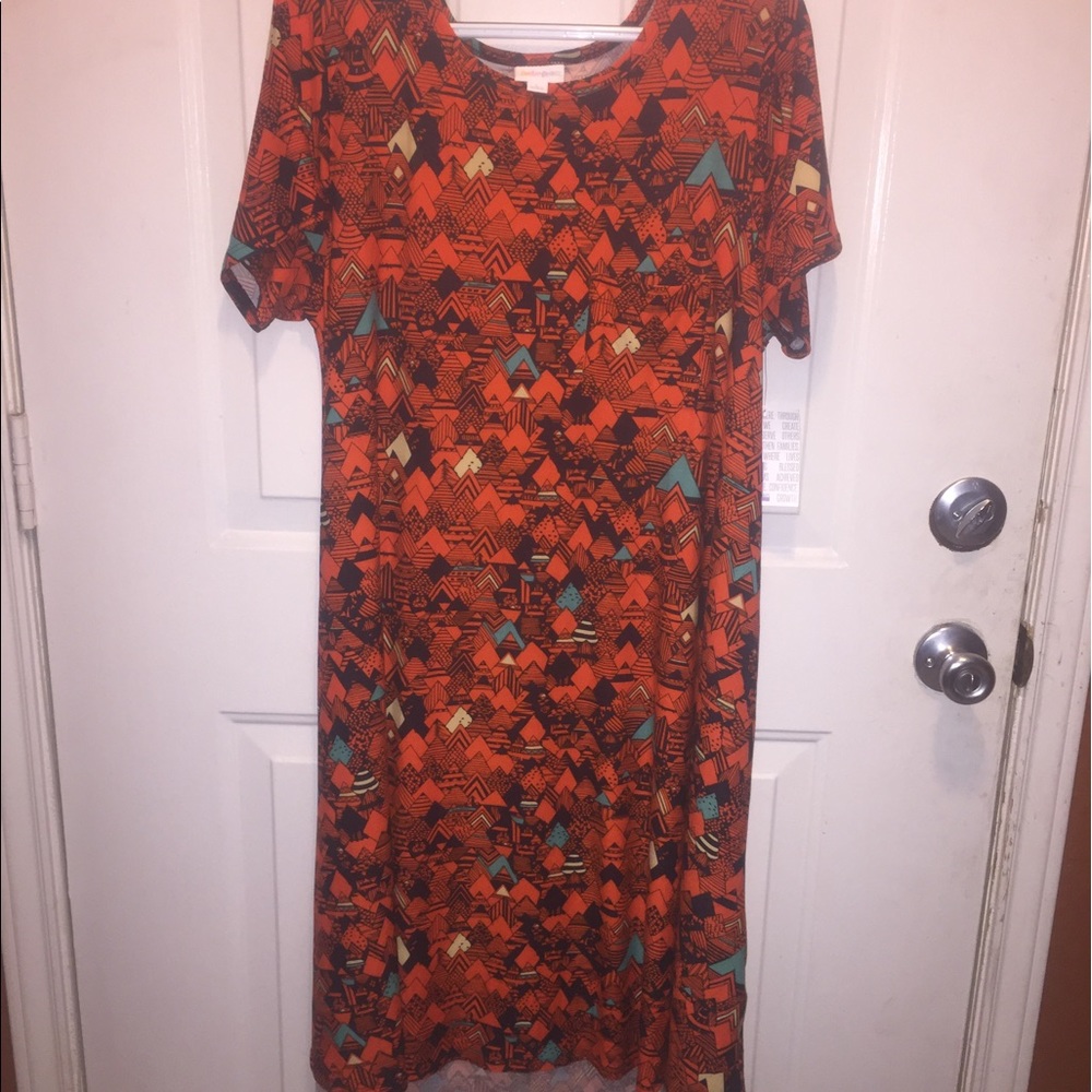 Brand new with tags LuLaRoe Carly-large