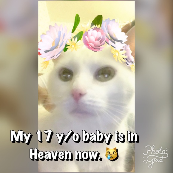 Everything must go! OFFERS! - Picture 2 of 2