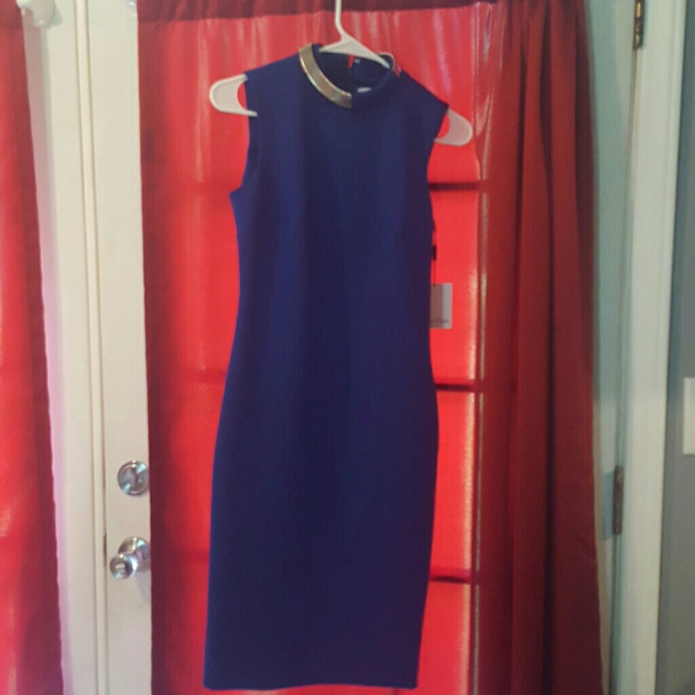 NWT Calvin Klein, Sexy, georgious dress