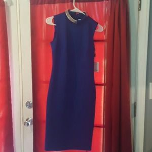 NWT Calvin Klein, Sexy, georgious dress