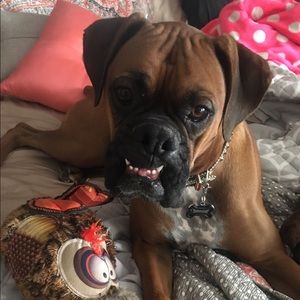 Meet your Posher, Mandie