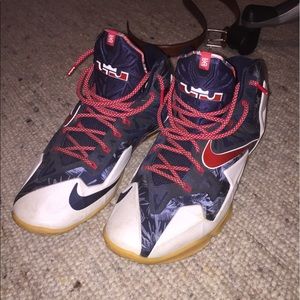 Lebron 11 America