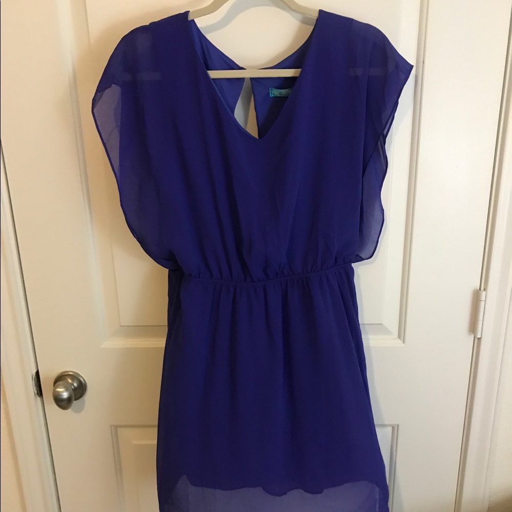 Francesca's Blue/Purple Dress