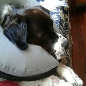 Meet your Posher, Anita