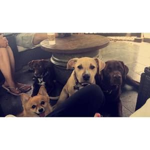 Meet your Posher, Carol