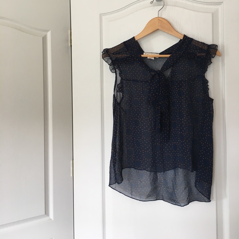 sheer polka dot blouse