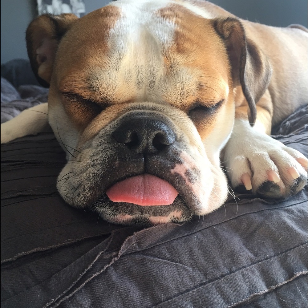 Meet your Posher, Lisa