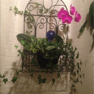 Meet your Posher, Evelyn