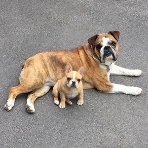 Meet your Posher, Tait