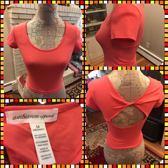 ambience apparel Tops - BNWOT Short Sleeve Crop Top w/ Knotted Back Detail