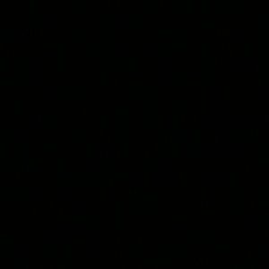 Meet your Posher, Symone