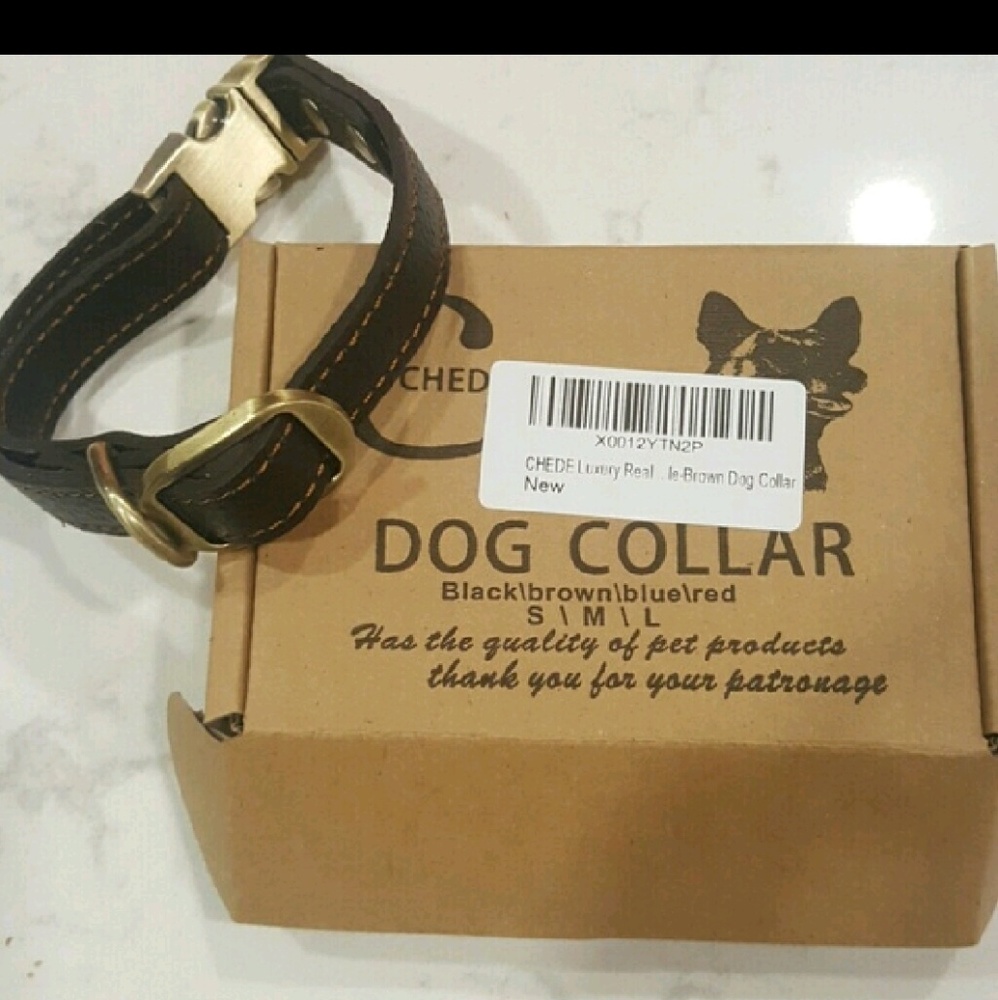 Leather Dog Collar