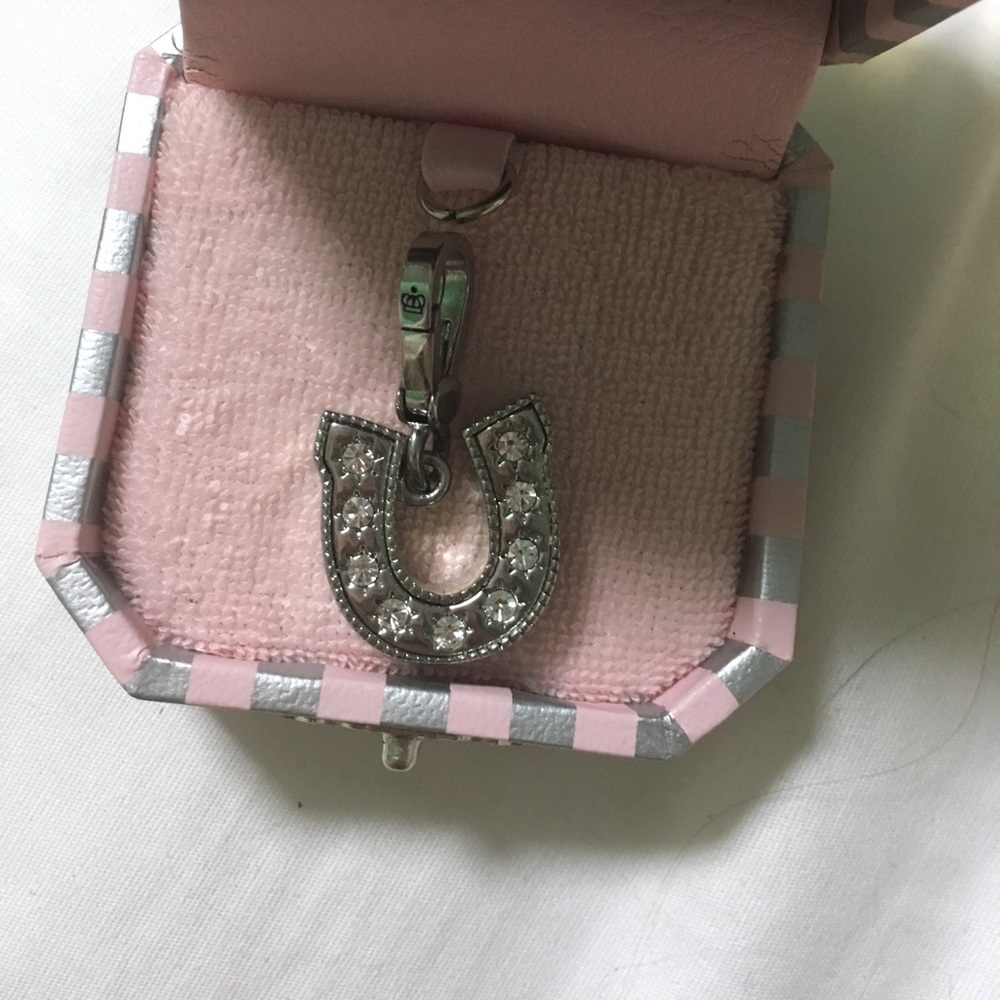 Horseshoe charm