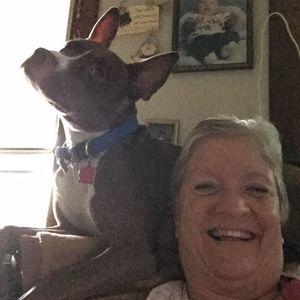 Meet your Posher, Brenda