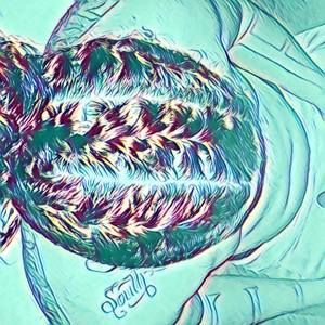 Meet your Posher, Vincent