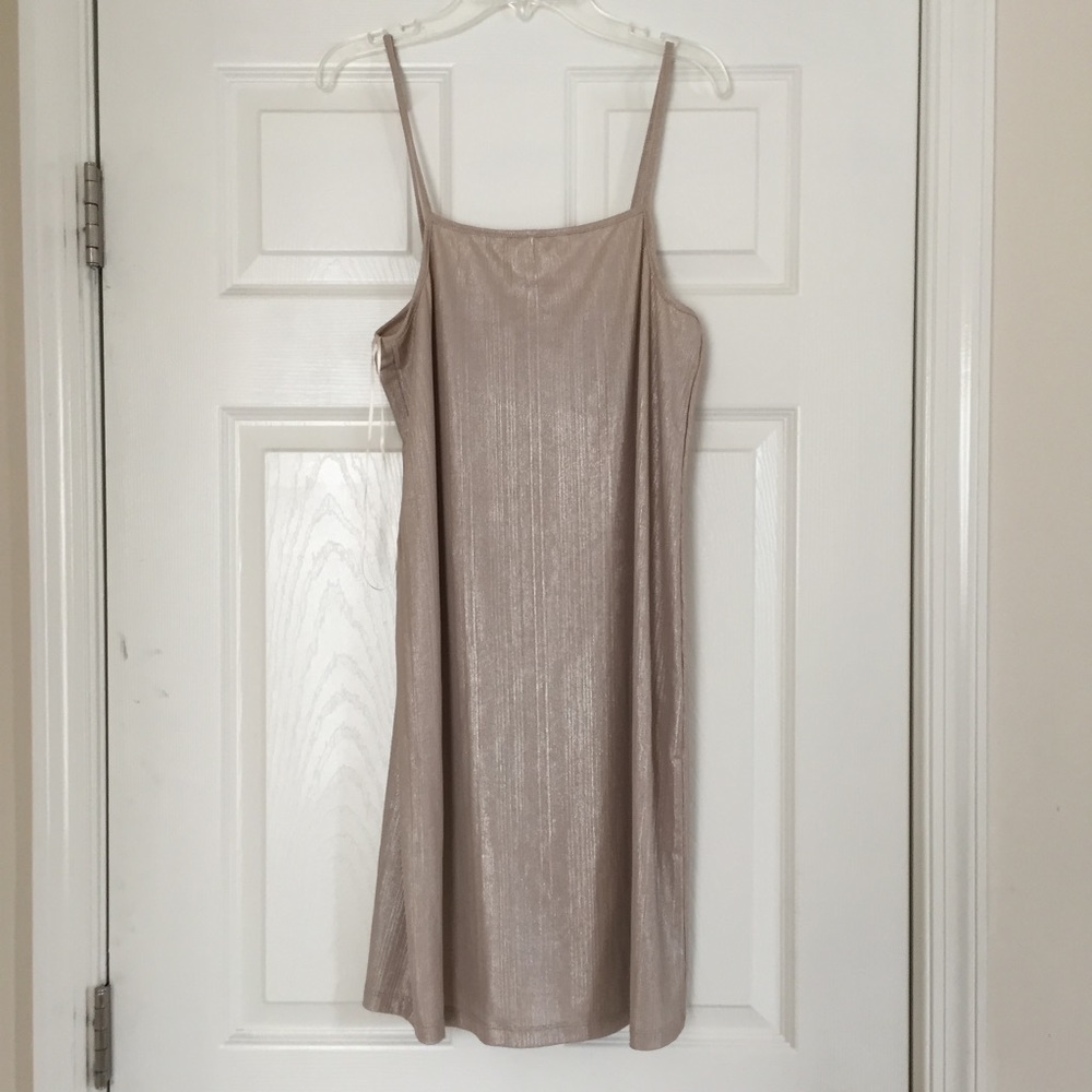 Shimmery Dress
