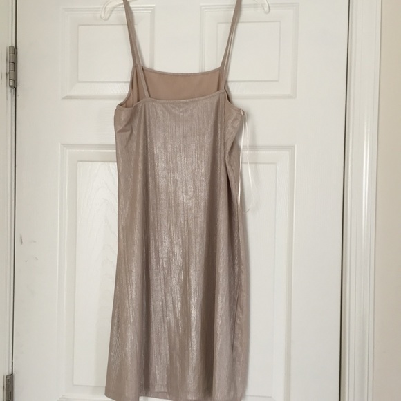 Shimmery Dress - Picture 2 of 3