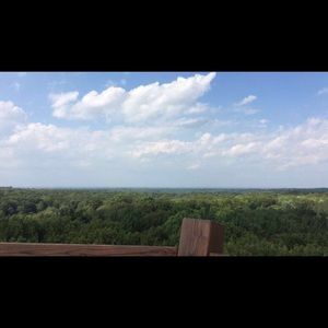 Meet your Posher, Ella