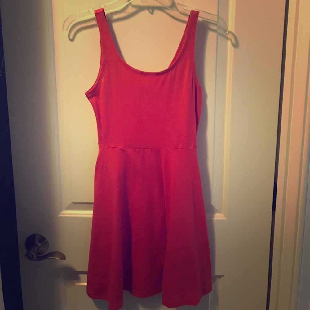 Express Pink Dress