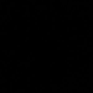 Meet your Posher, Shawntae