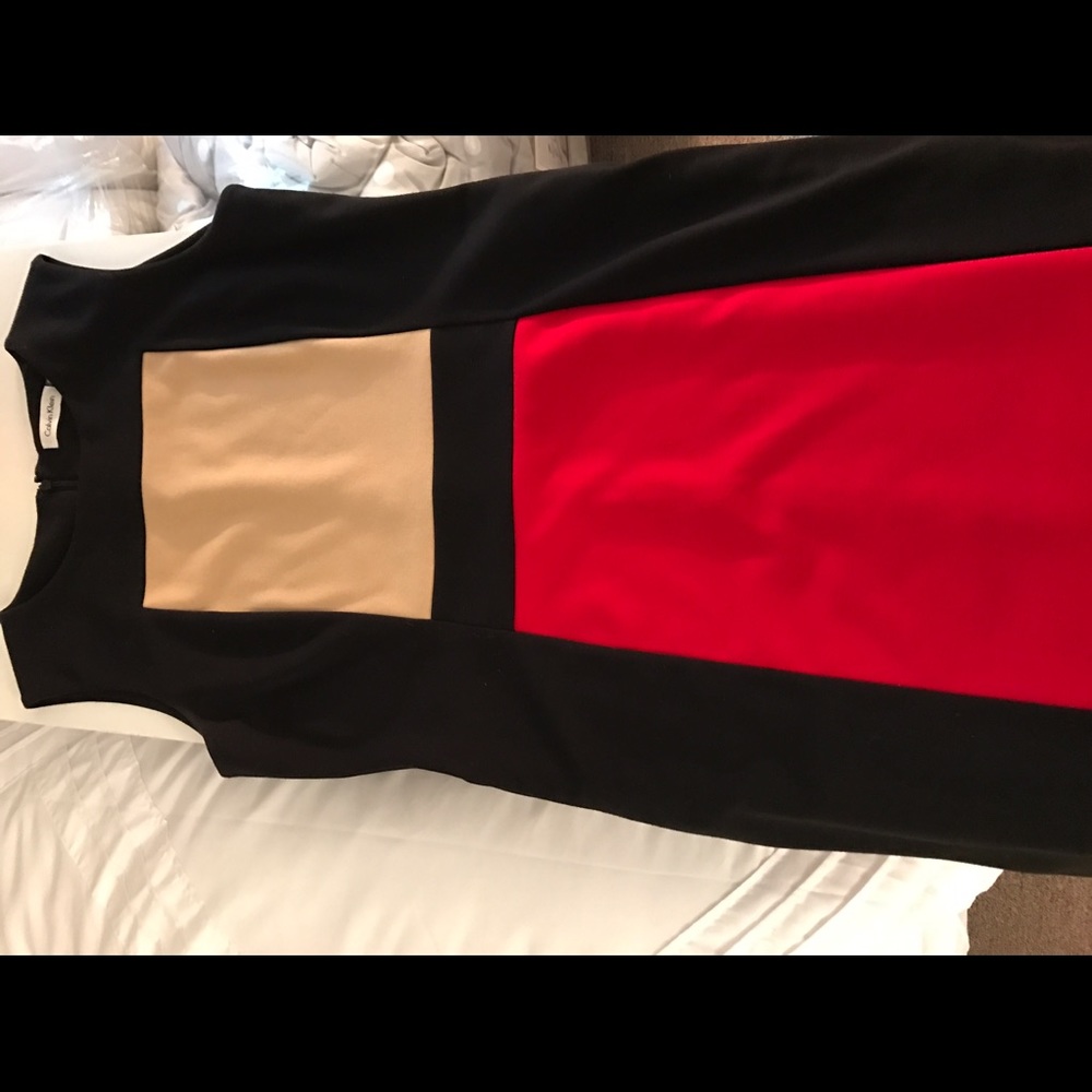 Calvin Klein Color Block Career Dress