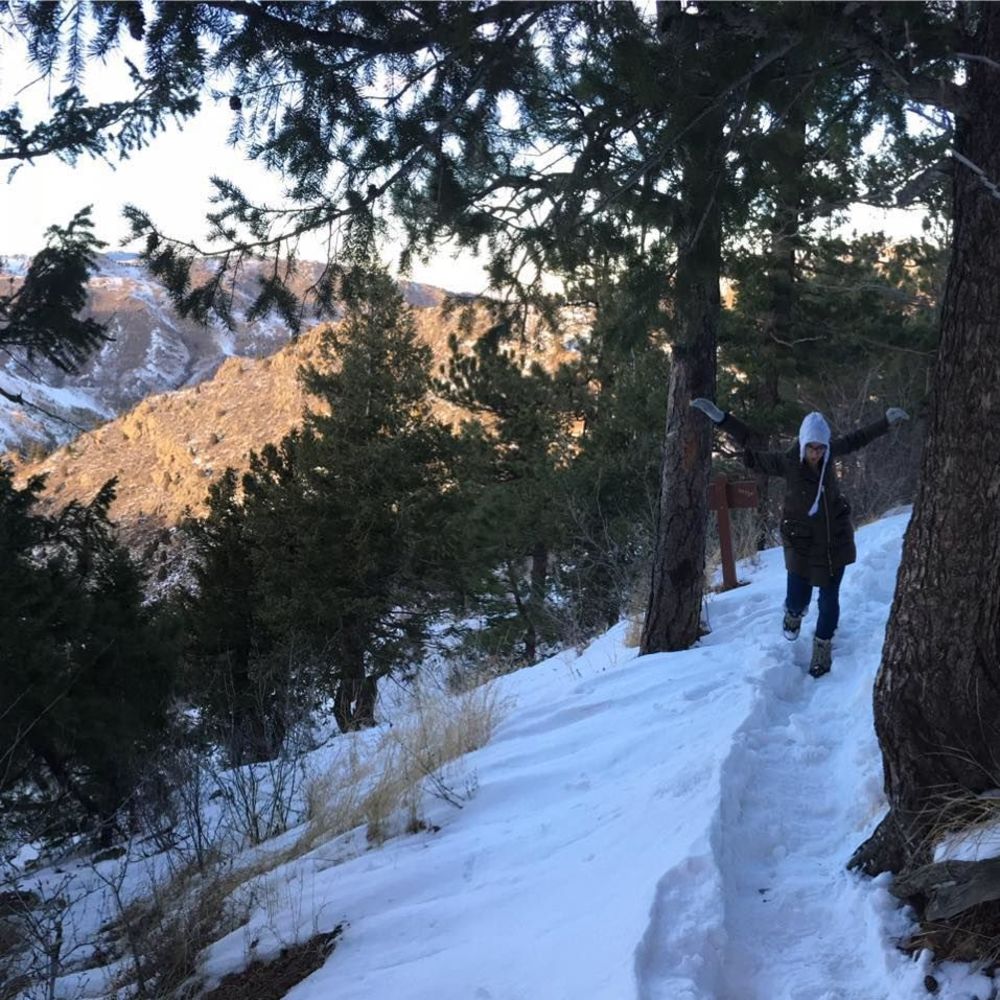 Meet your Posher, Liany