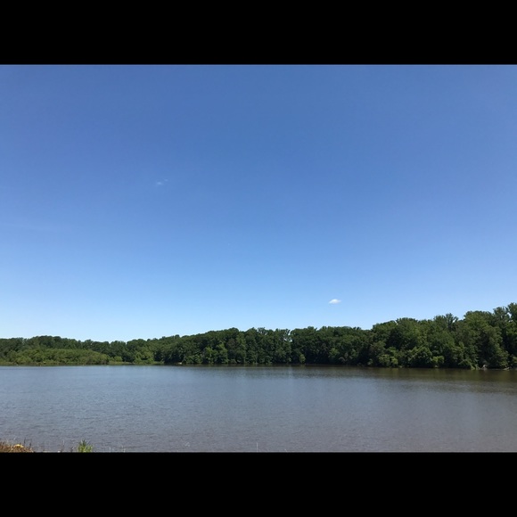 Meet your Posher, Phuc - Picture 1 of 1