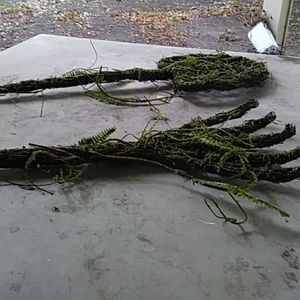 ISO 310 nutrition shakes and products