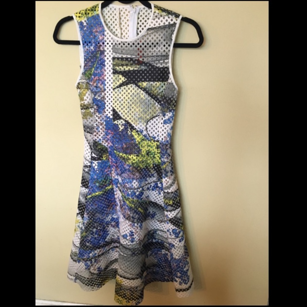 Clover Canyon laser cut dress