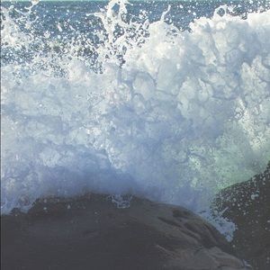 Meet your Posher, Greta