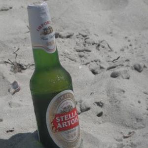 Meet your Posher, Stella