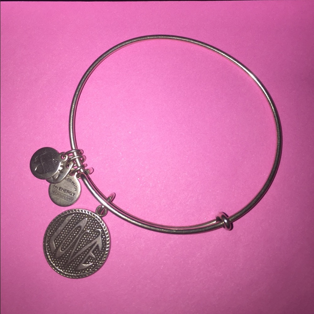 alex and ani bracelet