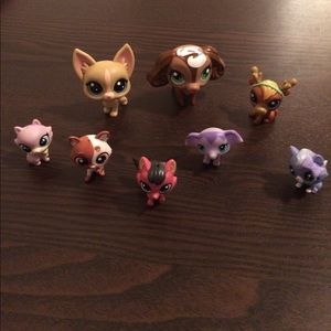 Littlest Pet Shop Bundle