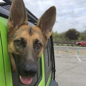 Meet your Posher, Logan